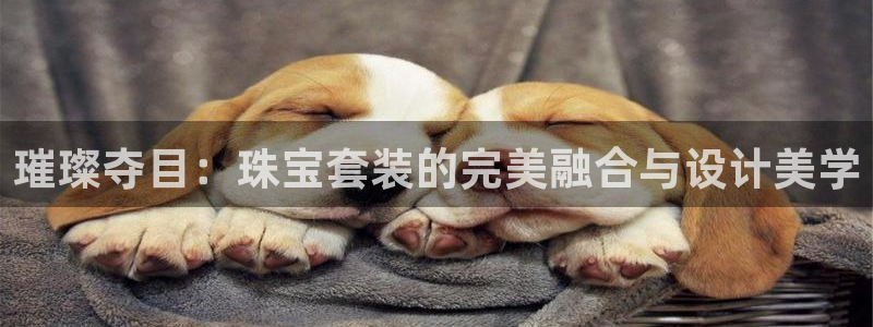 新航娱乐街7O935：璀璨夺目：珠宝套装的完美融合与设计美学