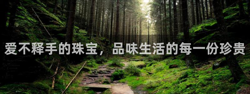 新航娱乐有限公司