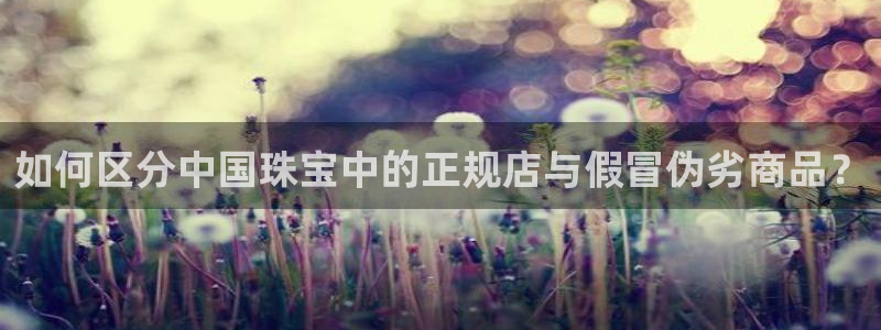 新航娱乐登陆