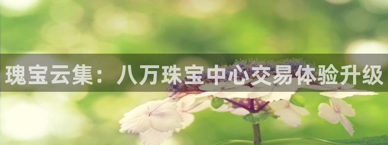 新航娱乐属于什么级别：瑰宝云集：八万珠宝中心交易体验升级