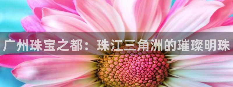 新航娱乐登录：广州珠宝之都：珠江三角洲的璀璨明珠