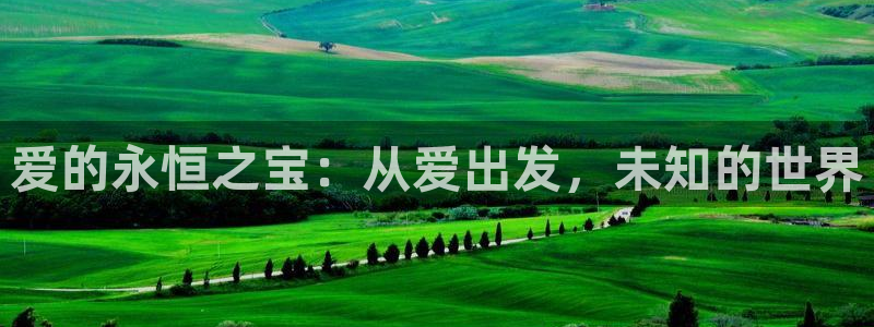 新航娱乐旗下平台有哪些：爱的永恒之宝：从爱出发，未知的世界