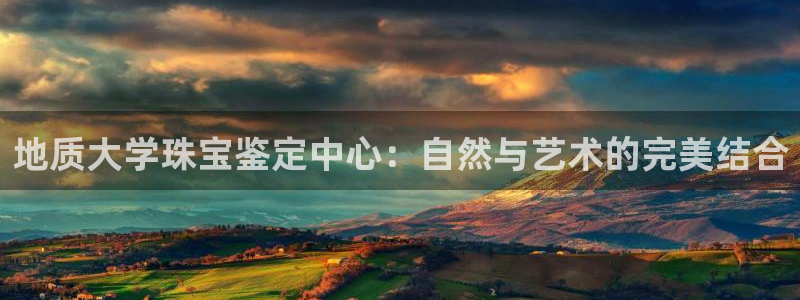新航娱乐观