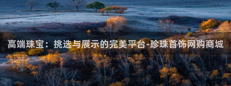 阜新航空娱乐：高端珠宝：挑选与展示的完美平台-珍珠首饰网购商