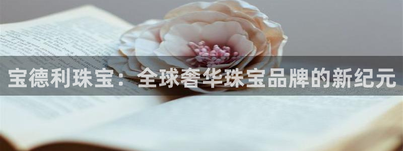 新航娱乐传媒怎么样啊