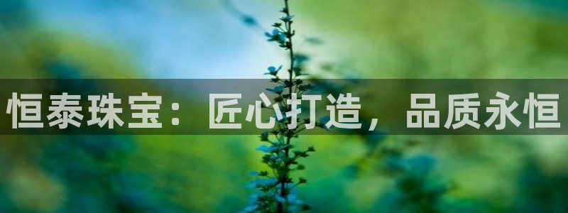 新航娱乐公司怎么样啊：恒泰珠宝：匠心打造，品质永恒