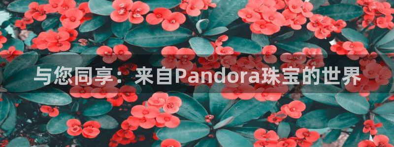 新航娱乐有限公司怎么样：与您同享：来自Pandora珠宝的世