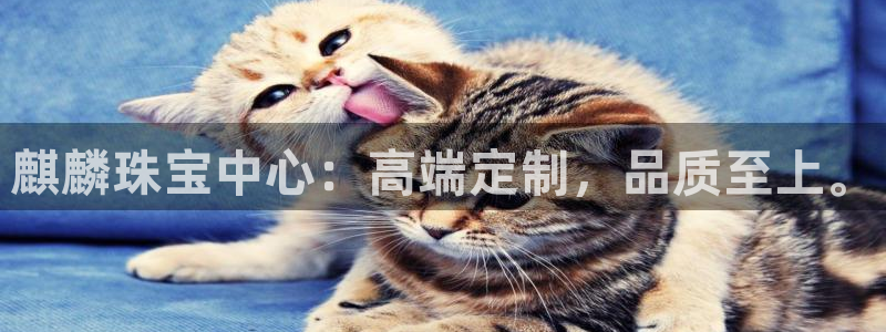 新航线娱乐：麒麟珠宝中心：高端定制，品质至上。