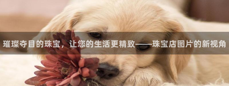 新航娱乐直开怎么下载
