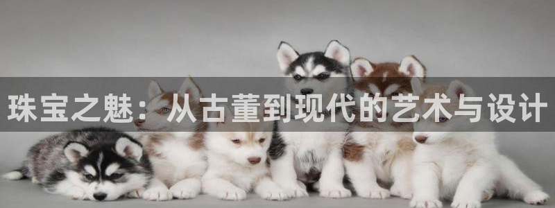 新航足浴娱乐会所