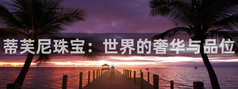 餐饮娱乐新航向：蒂芙尼珠宝：世界的奢华与品位
