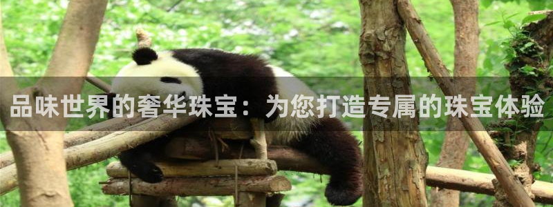 新航海娱乐会所电话：品味世界的奢华珠宝：为您打造专属的珠宝体