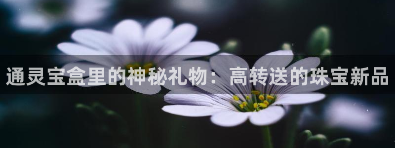 新航娱乐被国家认可吗：通灵宝盒里的神秘礼物：高转送的珠宝新品