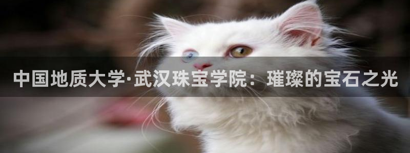 新航娱乐扣款详情：中国地质大学·武汉珠宝学院：璀璨的宝石之光
