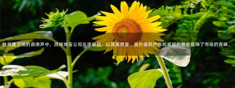 新航娱乐棋牌