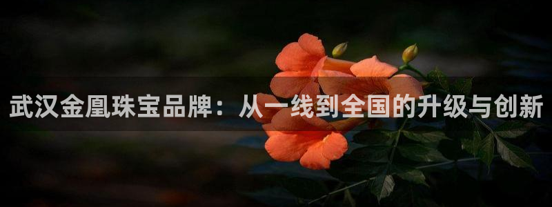 新航娱乐app下载安装