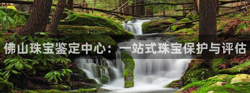 新航娱乐传媒
