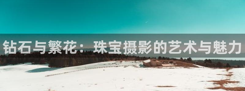 新航娱乐有限公司地址