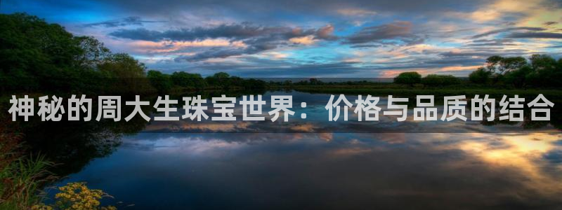 新航娱乐公司地址查询