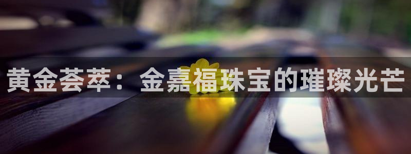 新航娱乐扣款详情