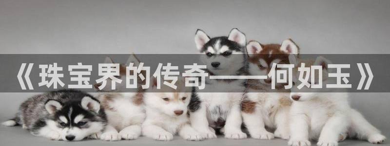 新航娱乐被投诉的原因：《珠宝界的传奇——何如玉》
