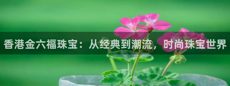 中国新航娱乐在哪个平台：香港金六福珠宝：从经典到潮流，时尚珠