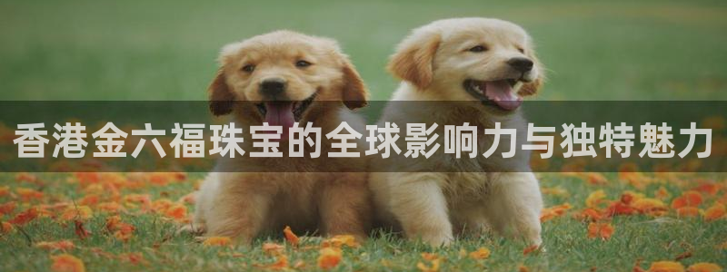新航头等舱套房娱乐屏：香港金六福珠宝的全球影响力与独特魅力