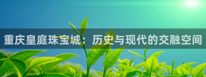 新航娱乐直开怎么下载