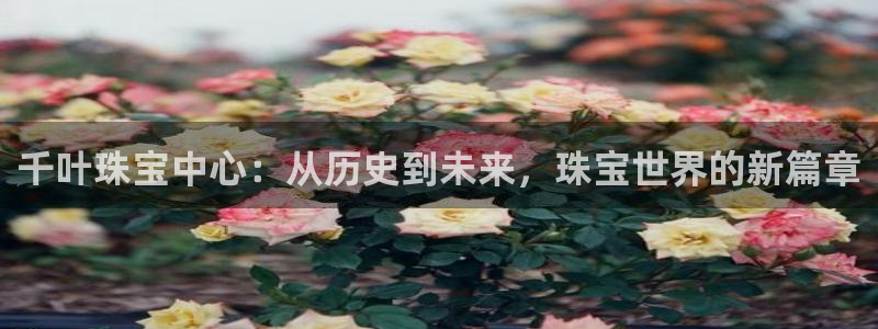 娱乐界的新航母：千叶珠宝中心：从历史到未来，珠宝世界的新篇章