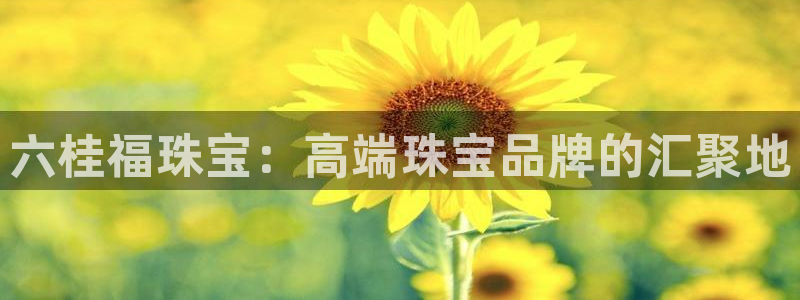 新航娱乐公司简介图片