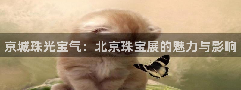 新航娱乐公司地址