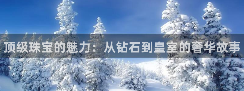 新航娱乐被投诉的原因