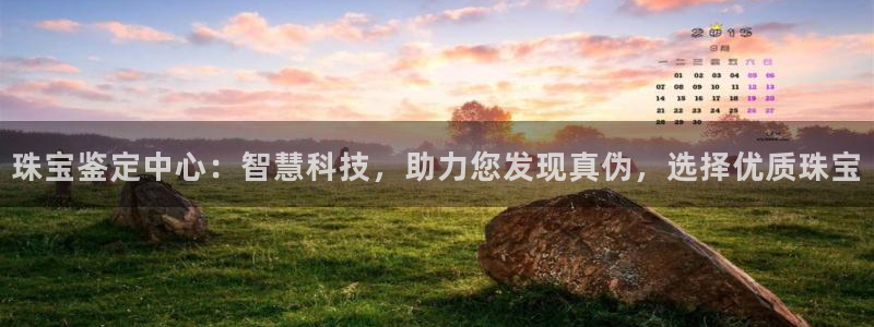 新航娱乐传媒怎么样啊