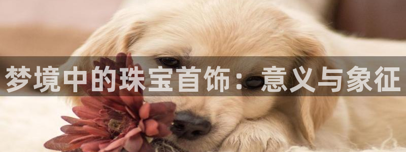 新航娱乐公司简介