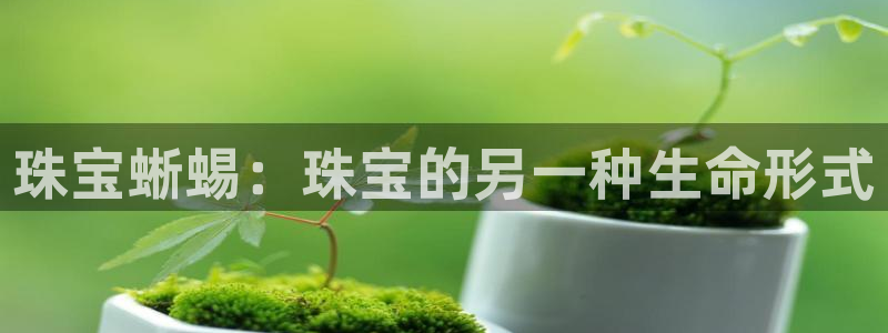 新航娱乐最新消息