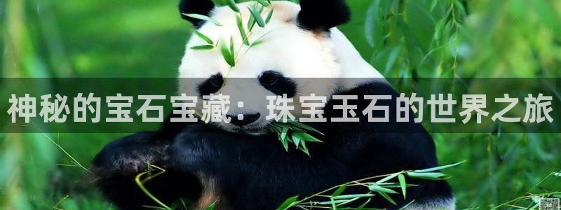 新航海娱乐会所怎么样啊