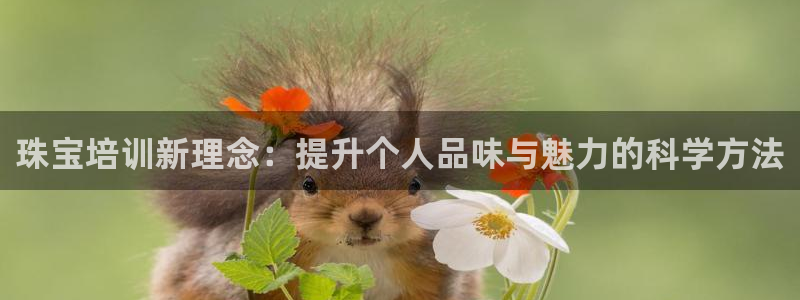 新航娱乐公司招聘电话