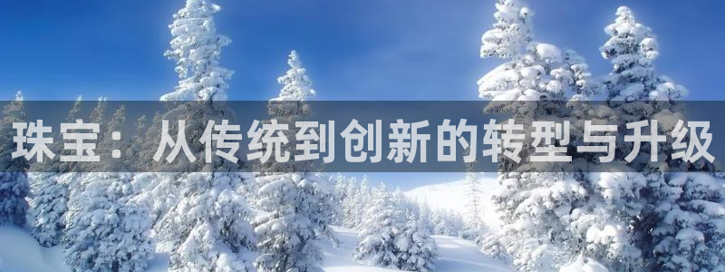 新航新客舱机上娱乐银