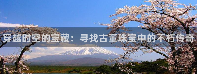 新航sq806娱乐系统