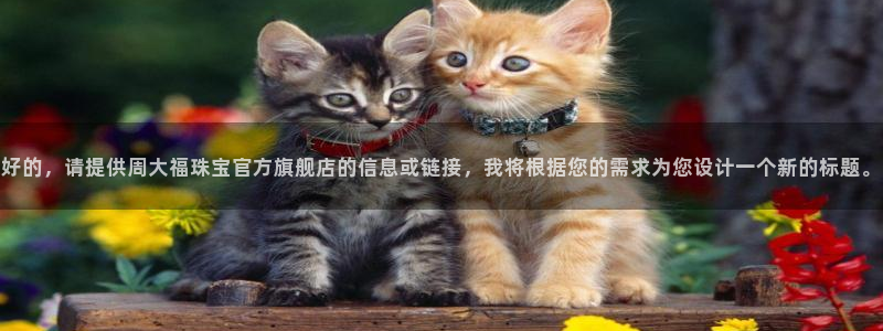 新航娱乐公司招聘信息网