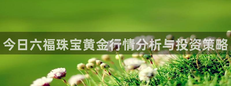 新航娱乐官方网站登录:今日六福珠宝黄金行情分析与投资策略