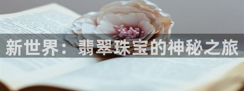 新航娱乐入新航娱乐怎么样