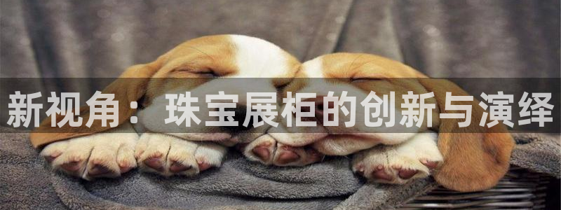 新航娱乐登录大厅：新视角：珠宝展柜的创新与演绎