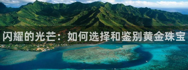 新航娱乐公司招聘电话