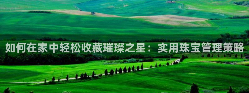 云顶新航国际娱乐城