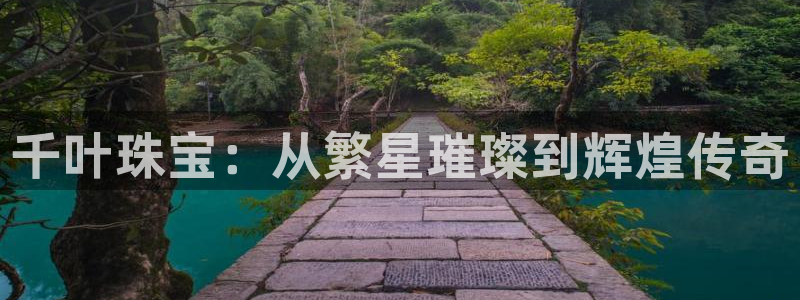 新航娱乐公司地址电话