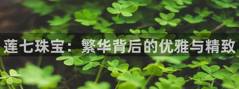 新航娱乐平台注册：莲七珠宝：繁华背后的优雅与精致