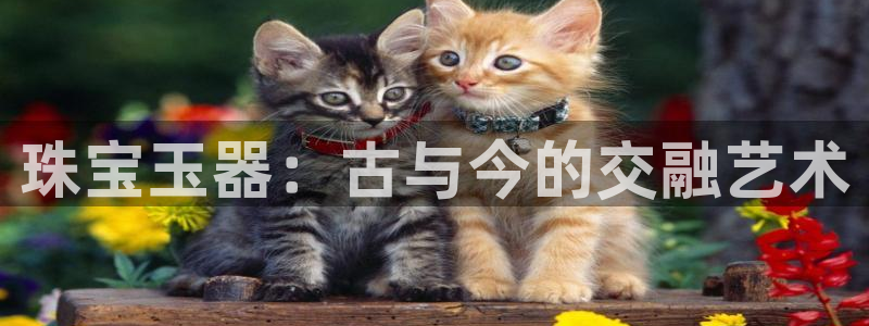 新航娱乐q：珠宝玉器：古与今的交融艺术