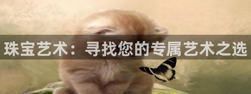 新航娱乐有限公司地址