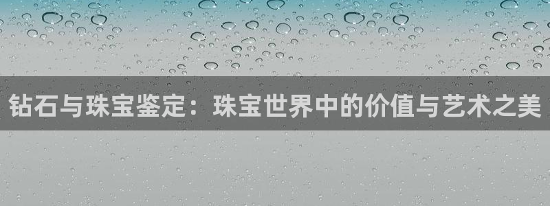 新航娱乐传媒怎么样